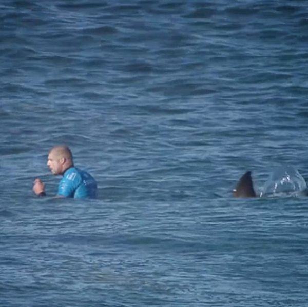 Серфингист Майкл Фэннинг был атакован акулой прямо во время соревнований&#8203; (3 фото + видео)