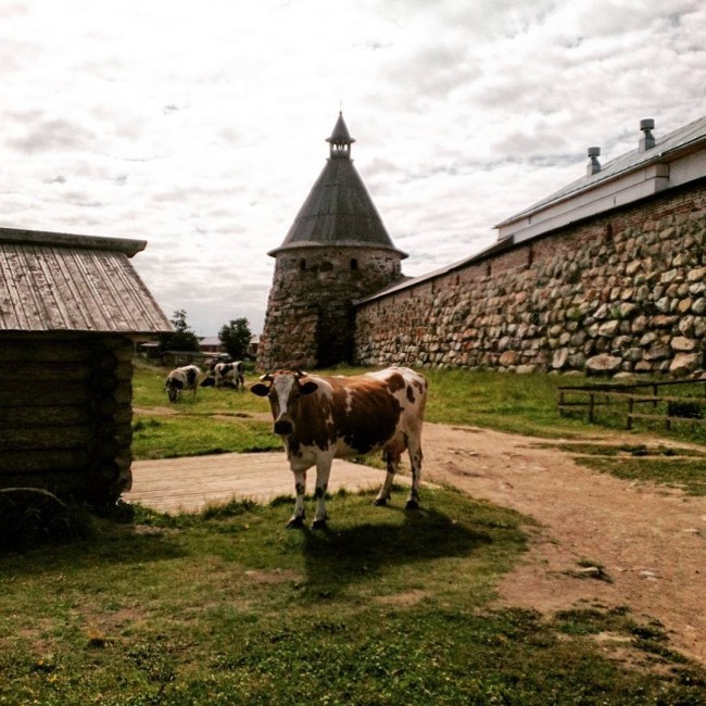 Соловецкие острова на фото в Instagram (32 фото)