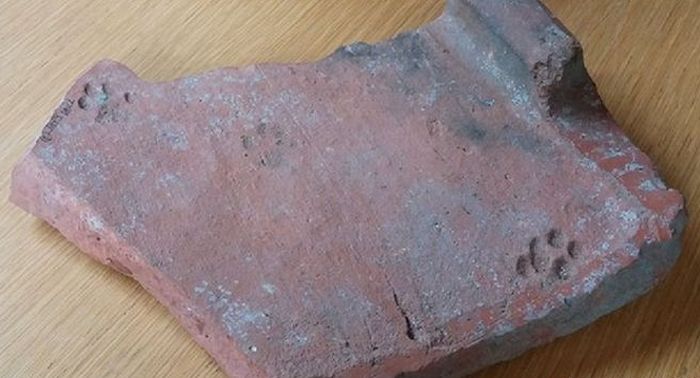 В Великобритании обнаружен отпечаток лапы кошки, жившей 2000 лет назад (2 фото)