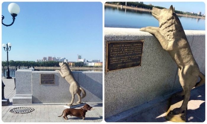 На набережной Благовещенска установили памятник псу по кличке Дружок (7 фото)