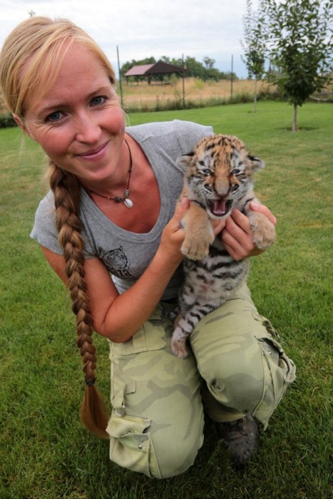 В словацком зоопарке люди и собаки растят маленького тигренка (9 фото)