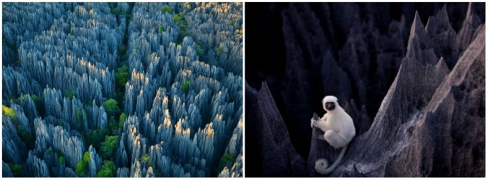 Удивительные места на планете, сохранившие свой первозданный вид (19 фото)