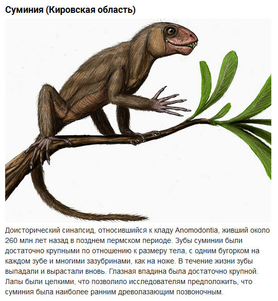 Доисторические животные, населявшие территорию современной России (10 фото)