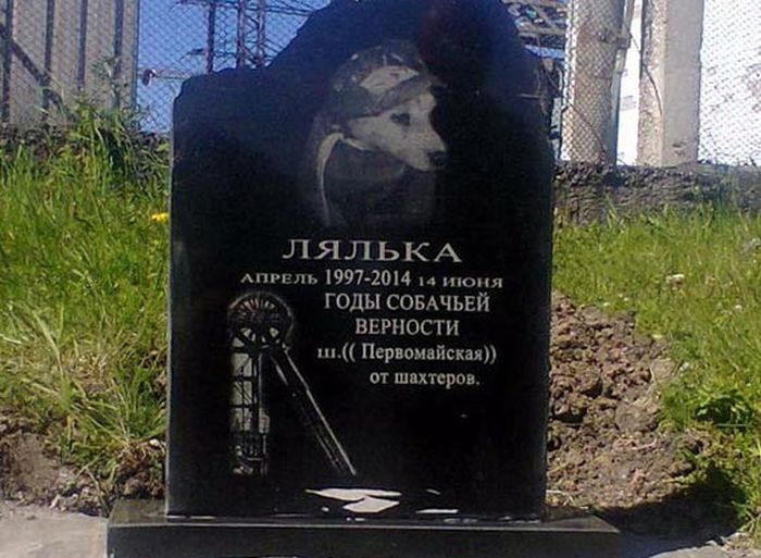 В Кемеровской области установили памятник собаке-горняку (4 фото)