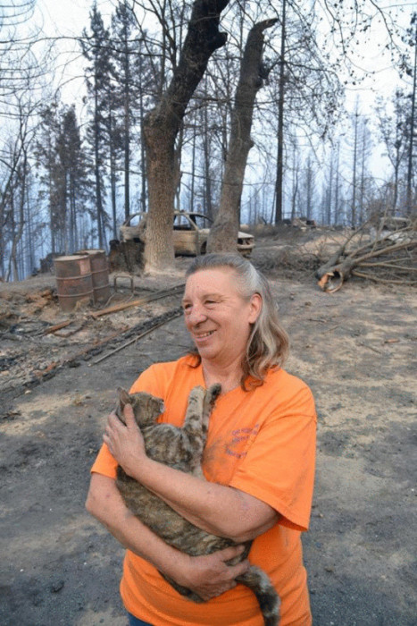 В Калифорнии кошка сумела пережить лесной пожар (4 фото)