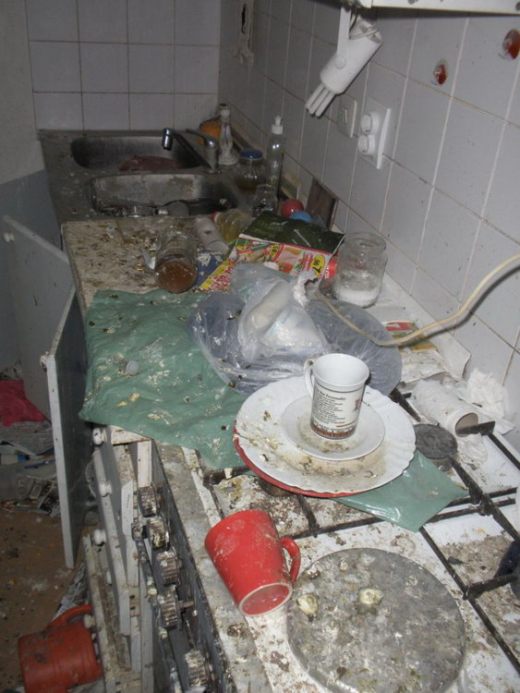 В Словении девушка превратила съемную квартиру в голубятню (8 фото)