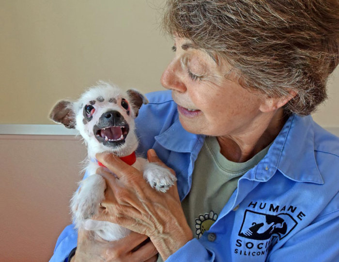 Американская семья взяла собаку из приюта, несмотря на ее недуг (7 фото)