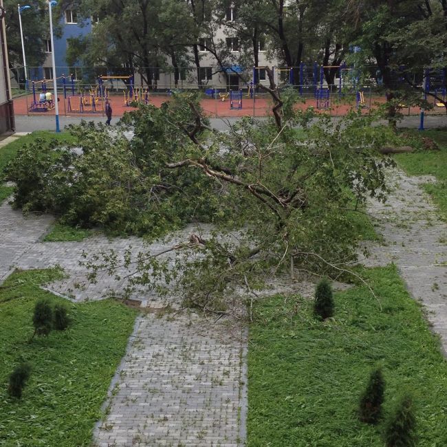 Приморский край ликвидирует последствия тайфуна «Гони» (16 фото + видео)