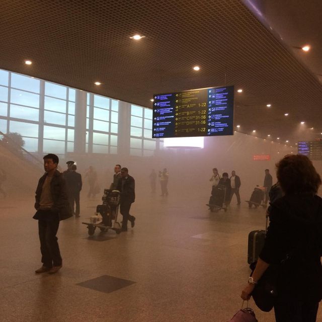 Из-за задымления из «Домодедово» эвакуировали пассажиров и приостановили вылеты (10 фото)