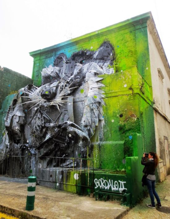 Арт-инсталляция «Большой енот» в Лиссабоне (3 фото)