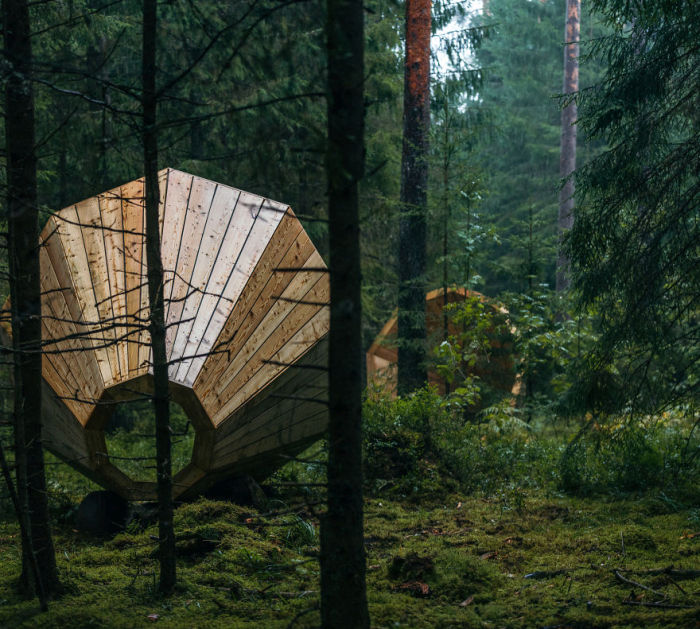 Эстонские студенты усилили звуки природы благодаря гигантским рупорам (10 фото)