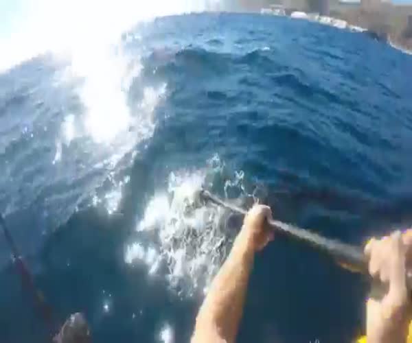 Акула атаковала рыбака на каноэ