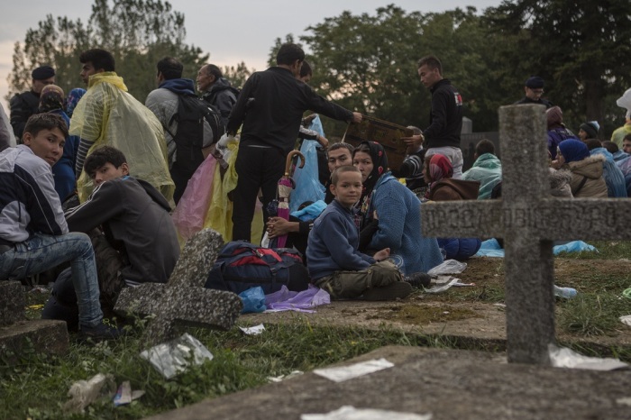 Временное пристанище для беженцев в Сербии (32 фото)