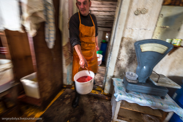 Добыча рыбы и производство красной икры в рыбацком поселке Магадана (36 фото)