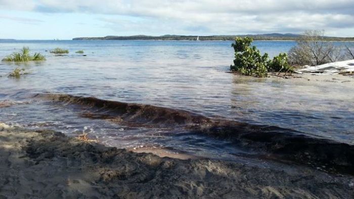 В Австралии провал поглотил пляж с кемпингом (7 фото + видео)