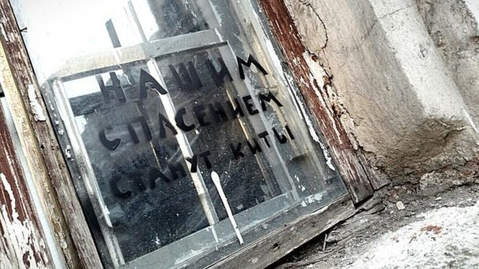 Неожиданные надписи на наших улицах и в подъездах (25 фото)