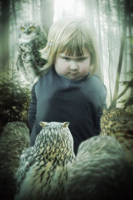 Фотожабы на девочку с совой (17 фото)