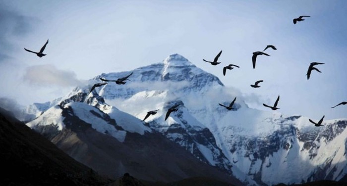 Величественные фотографии Эвереста (31 фото)