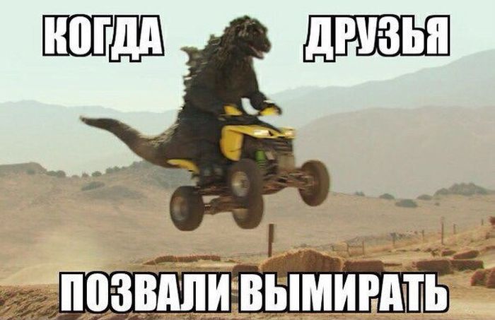 Прикольные картинки. Вечерний выпуск (60 фото)