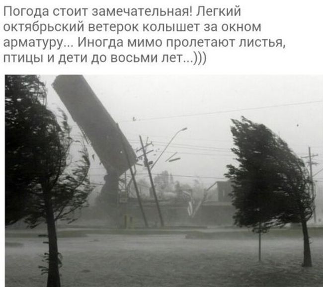 Прикольные картинки. Вечерний выпуск (60 фото)