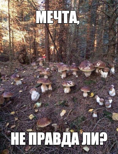 Прикольные картинки. Вечерний выпуск (60 фото)