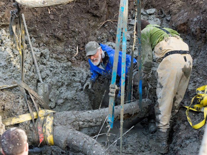 Американский фермер обнаружил останки мамонта на своем поле (10 фото)
