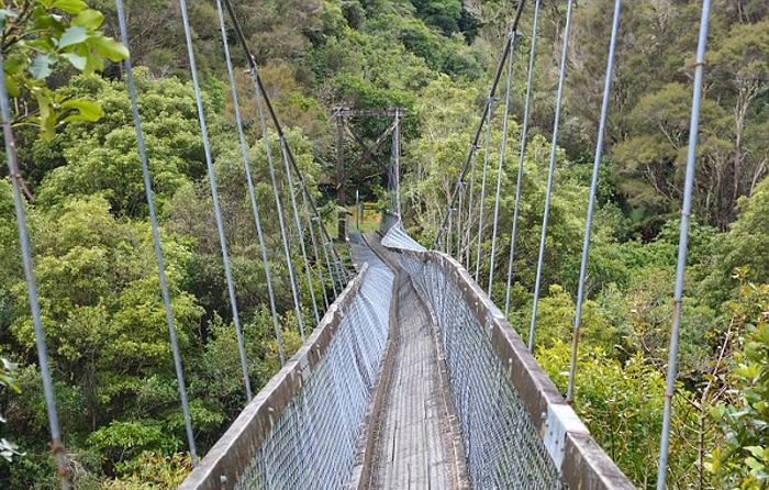 В Новой Зеландии туристы упали в реку с подвесного моста (3 фото + видео)