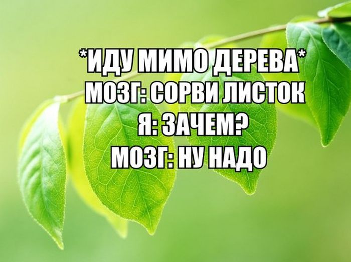 Прикольные картинки. Дневной выпуск (50 фото)