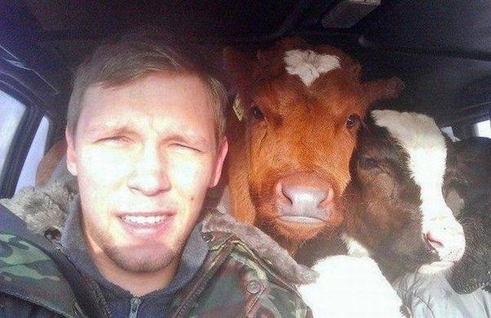 Прикольные картинки. Дневной выпуск (50 фото)