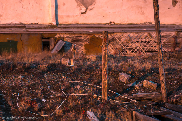 Заброшенный поселок Валькумей на Чукотке (35 фото)