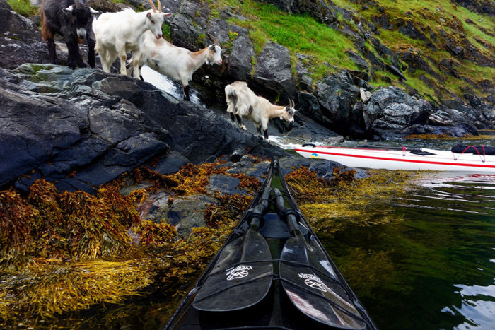 Путешествие на байдарке по норвежским фьордам с Томашем Фурманеком (23 фото)