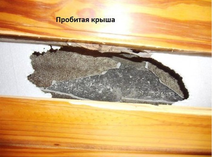 Какова вероятность, что на ваш дом упадет метеорит (7 фото)