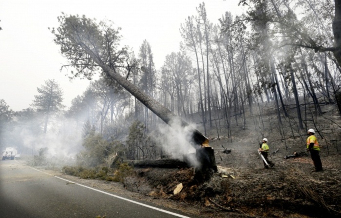 Лесные пожары в Калифорнии (13 фото)