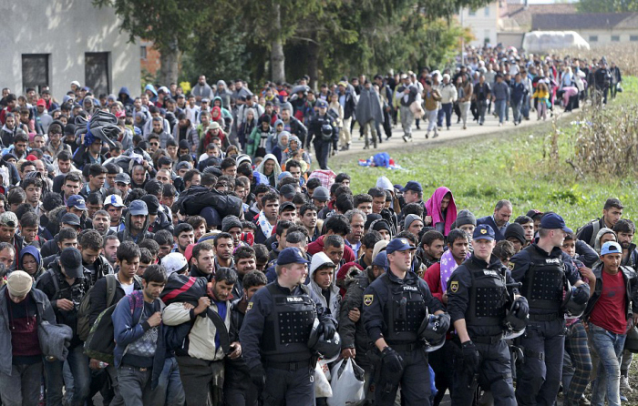 Словения просит полицейских у других стран ЕС, чтобы справиться с притоком беженцев (30 фото)