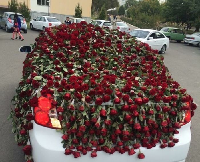 Романтик из Ташкента подарил возлюбленной огромный букет роз стоимостью более 2000 долларов (8 фото)
