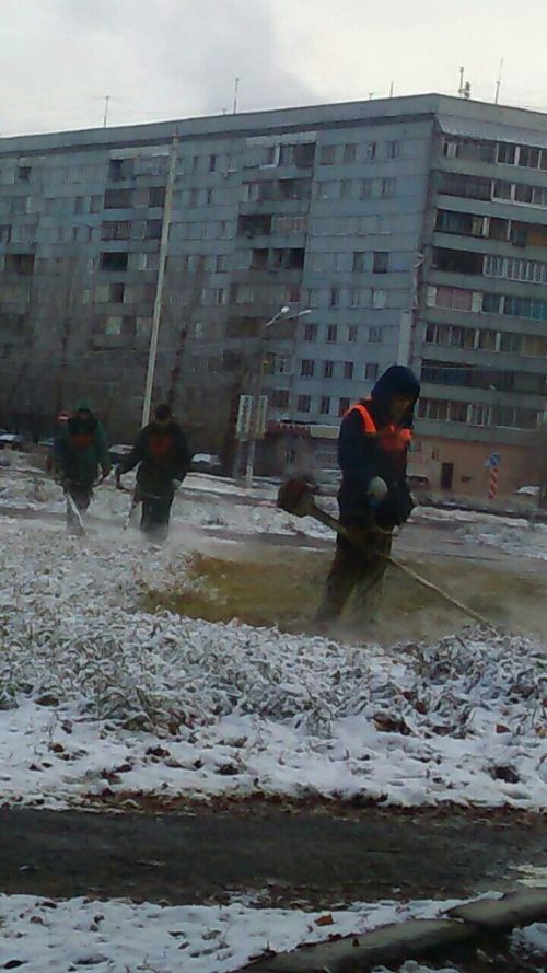 Красноярские коммунальщики постригли заснеженный газон (фото)