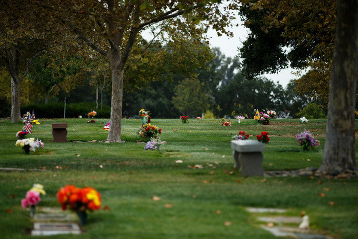Поклонники Стива Джобса заняты поисками его могилы (6 фото)