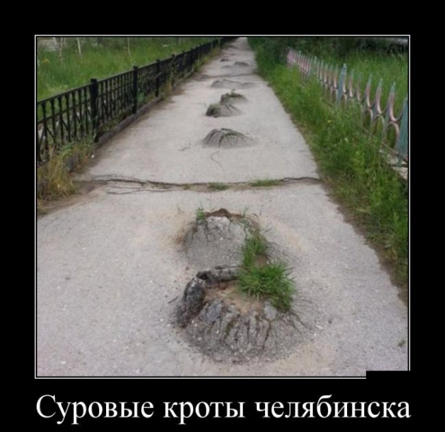 Демотиваторы (30 фото)