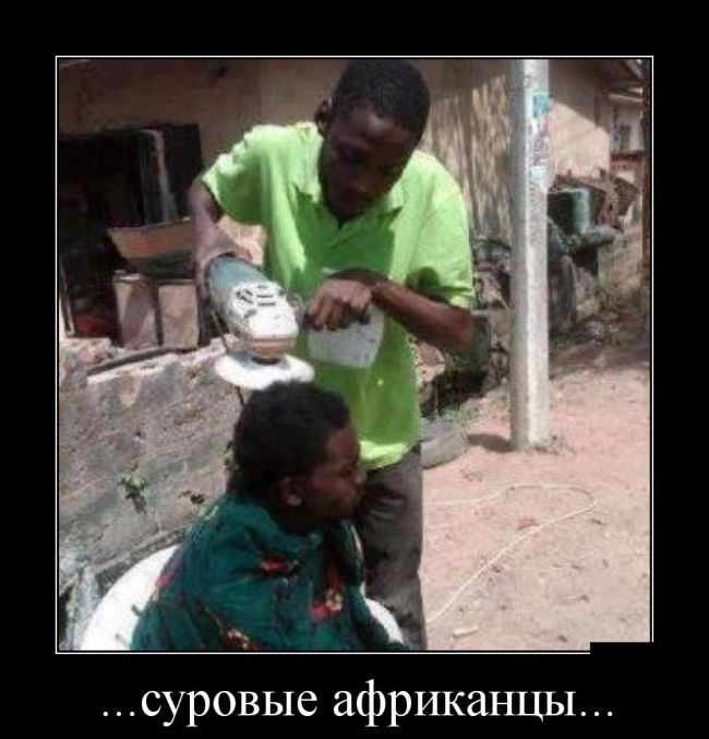 Демотиваторы (30 фото)