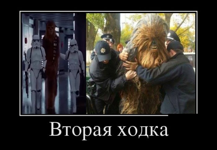 Демотиваторы (30 фото)