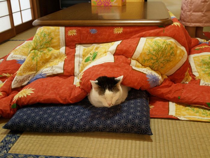 Японская стол-кровать котацу (8 фото)
