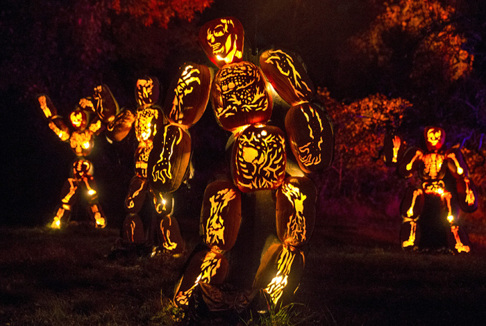 Тысячи тыкв-светильников на выставке Great Jack O' Lantern Blaze (17 фото)