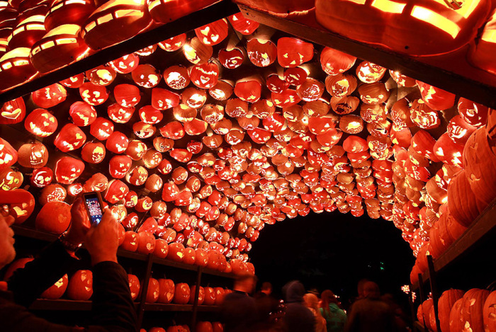 Тысячи тыкв-светильников на выставке Great Jack O' Lantern Blaze (17 фото)