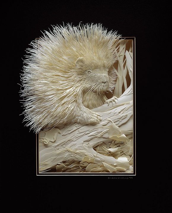 Великолепные бумажные животные Кэлвина Николлса (34 фото)
