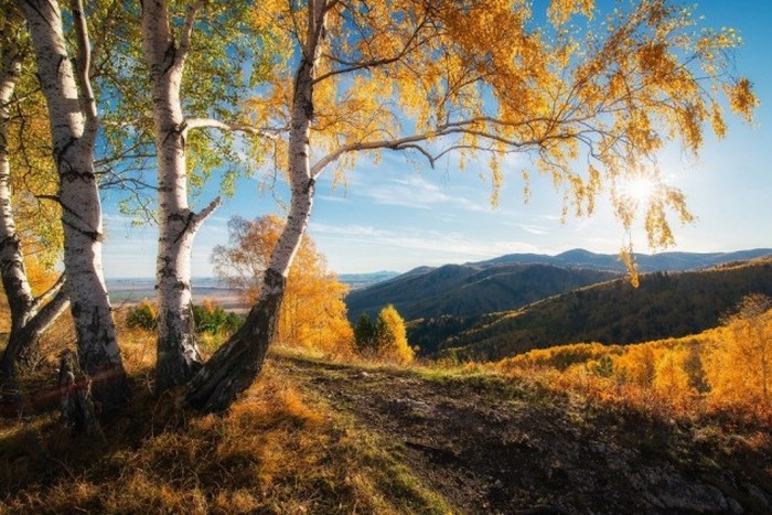 Лучшие фото живой природы за октябрь от National Geographic (20 фото)