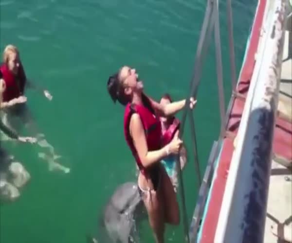 Девушка очень понравилась дельфину