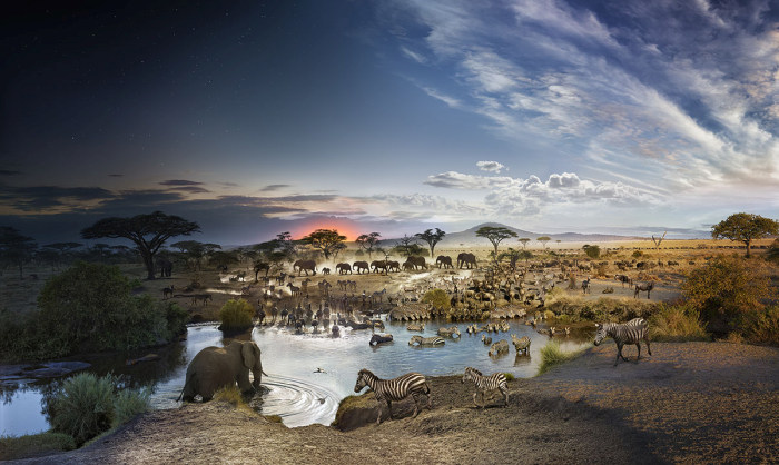 Встреча дня и ночи на удивительных панорамных снимках Стивена Вилкса (12 фото)