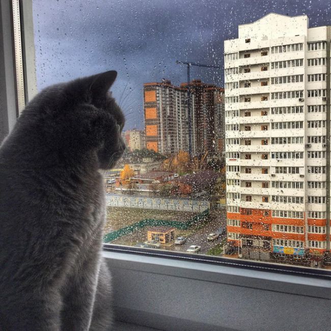 Краснодар признали самым благоустроенным городом России в этом году (14 фото)
