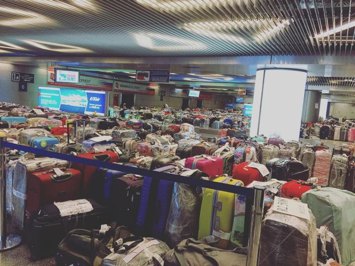 Чемоданный коллапс в российских аэропортах (11 фото)