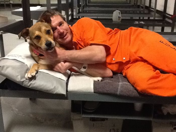 В одной из тюрем США заключенным разрешили брать на воспитание бездомных собак (7 фото)